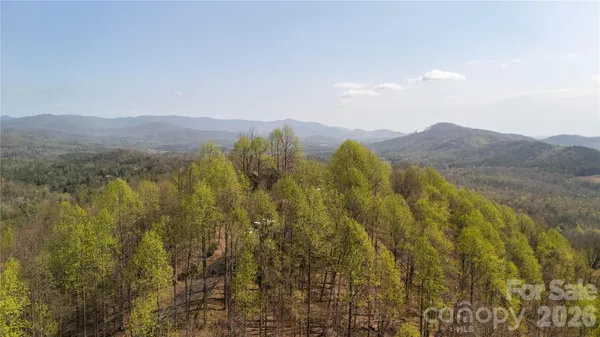 a view of a lush green field with mountains in the background