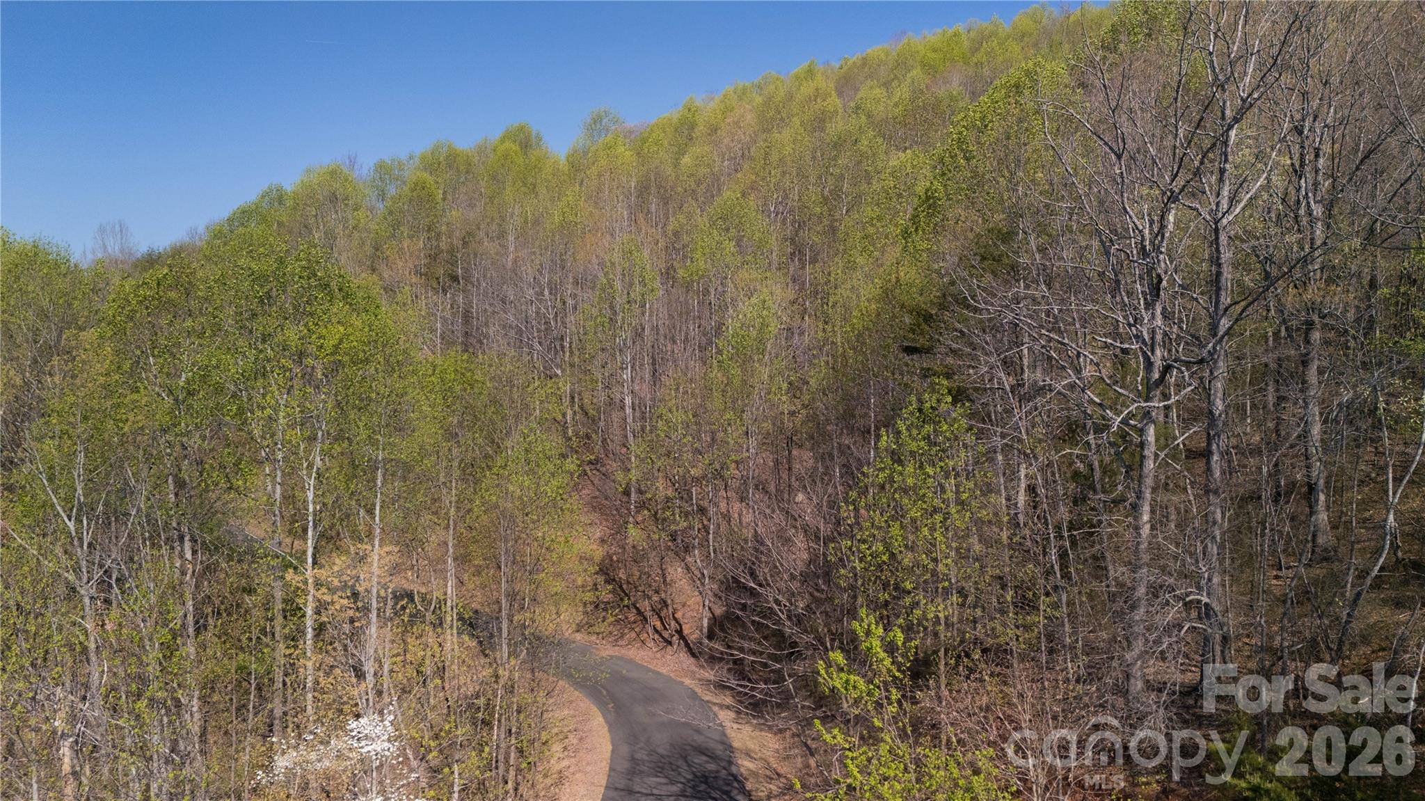 Tbd Owls Ridge Drive Apex, NC 27523 - Photo 4 of 14 a view of a forest with a house