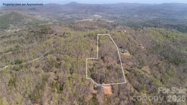 a view of a dry yard