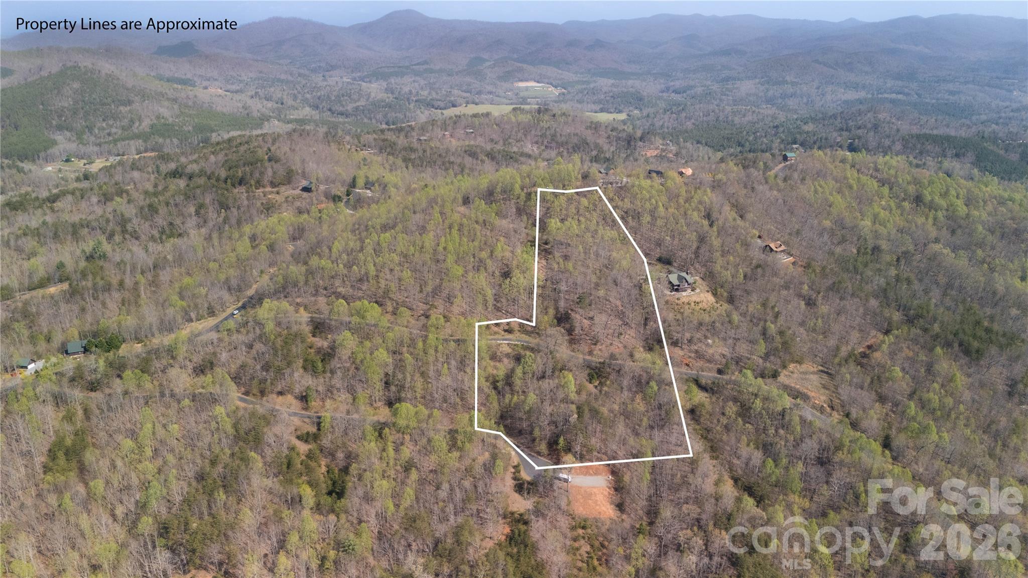 Tbd Owls Ridge Drive Apex, NC 27523 - Photo 7 of 14 a view of a dry yard