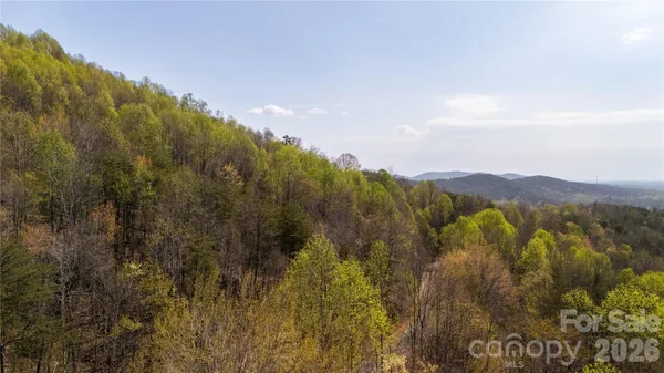 a view of a city with lush green forest