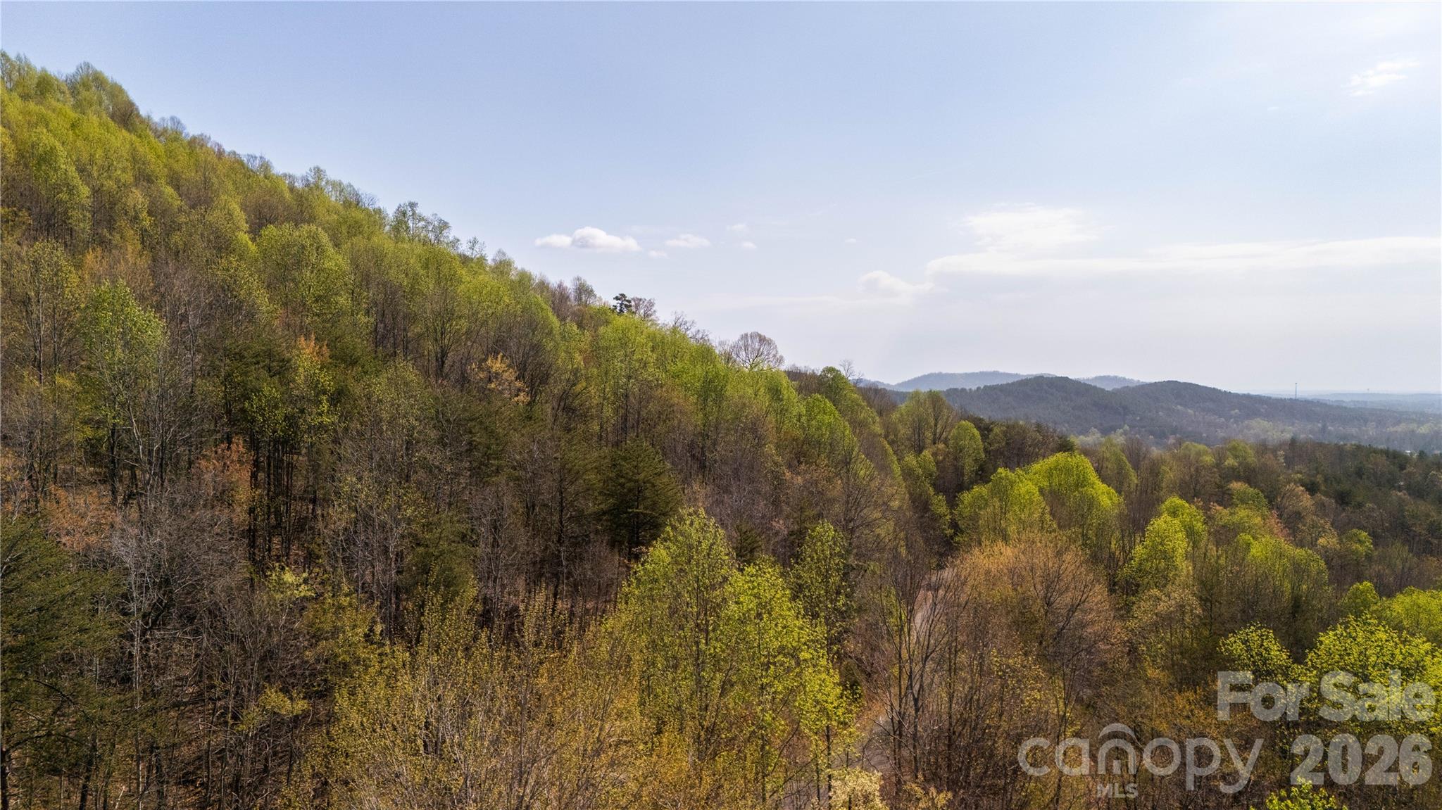 Tbd Owls Ridge Drive Apex, NC 27523 - Photo 10 of 14 a view of a city with lush green forest