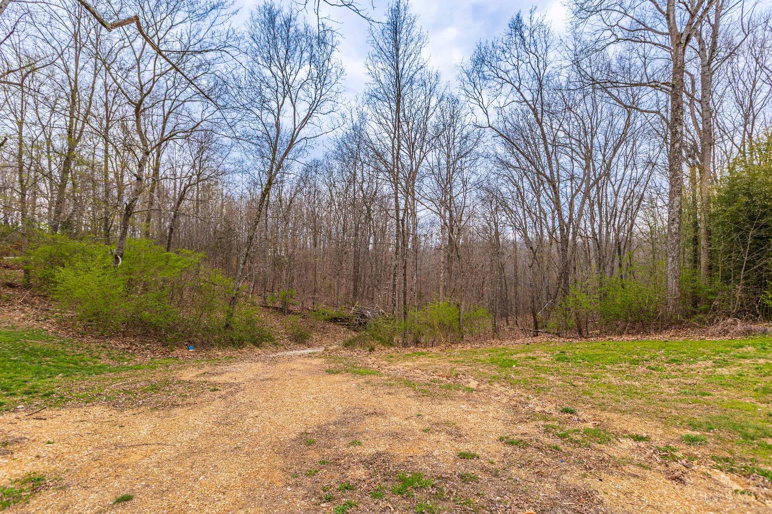1025 Davis Road Peebles, OH 45660 - Photo 45 of 63