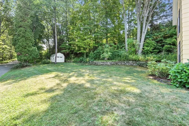 a view of a big yard with plants and large trees