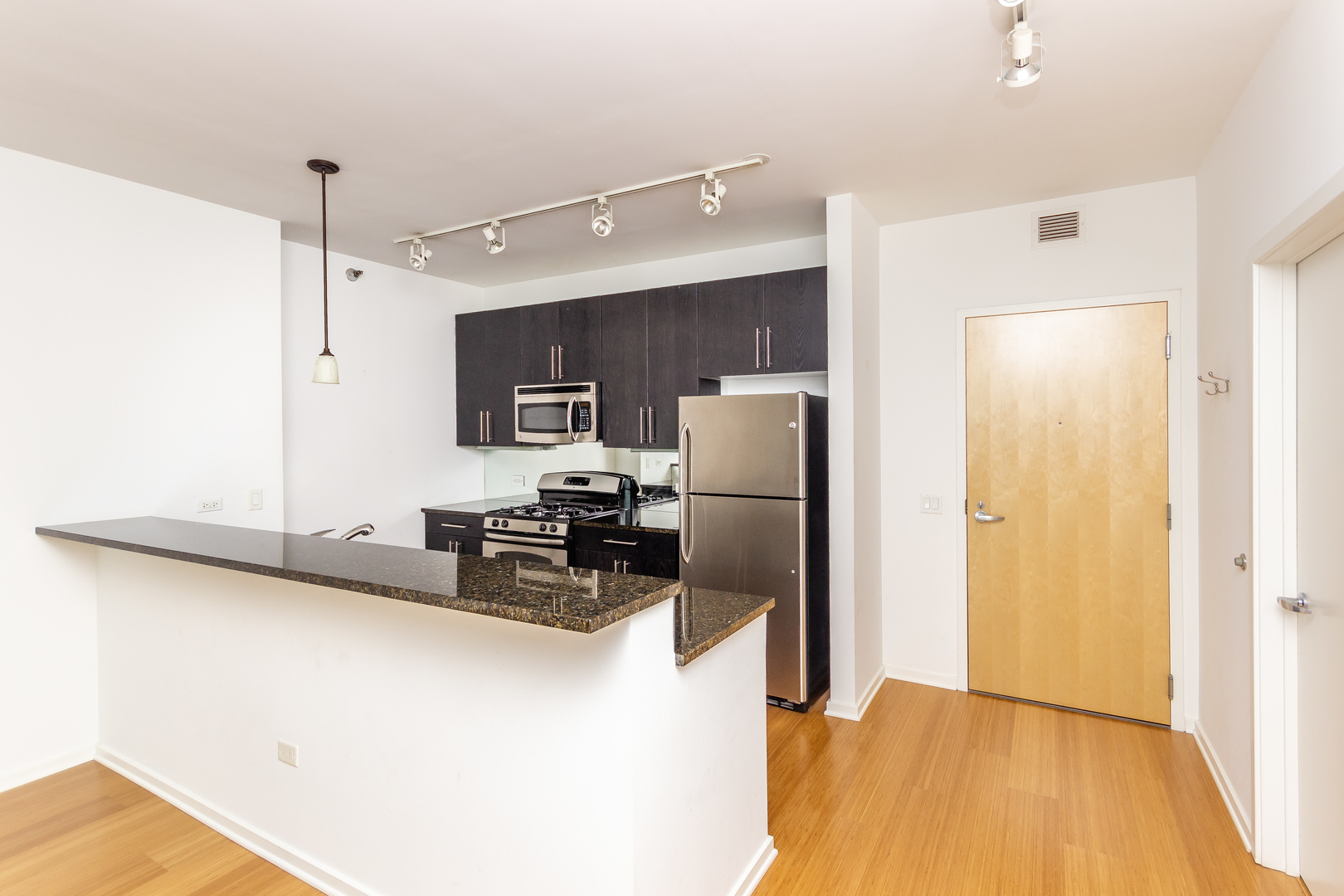 125 South Green Street, Unit 402A Chicago, IL 60607 - Photo 3 of 22