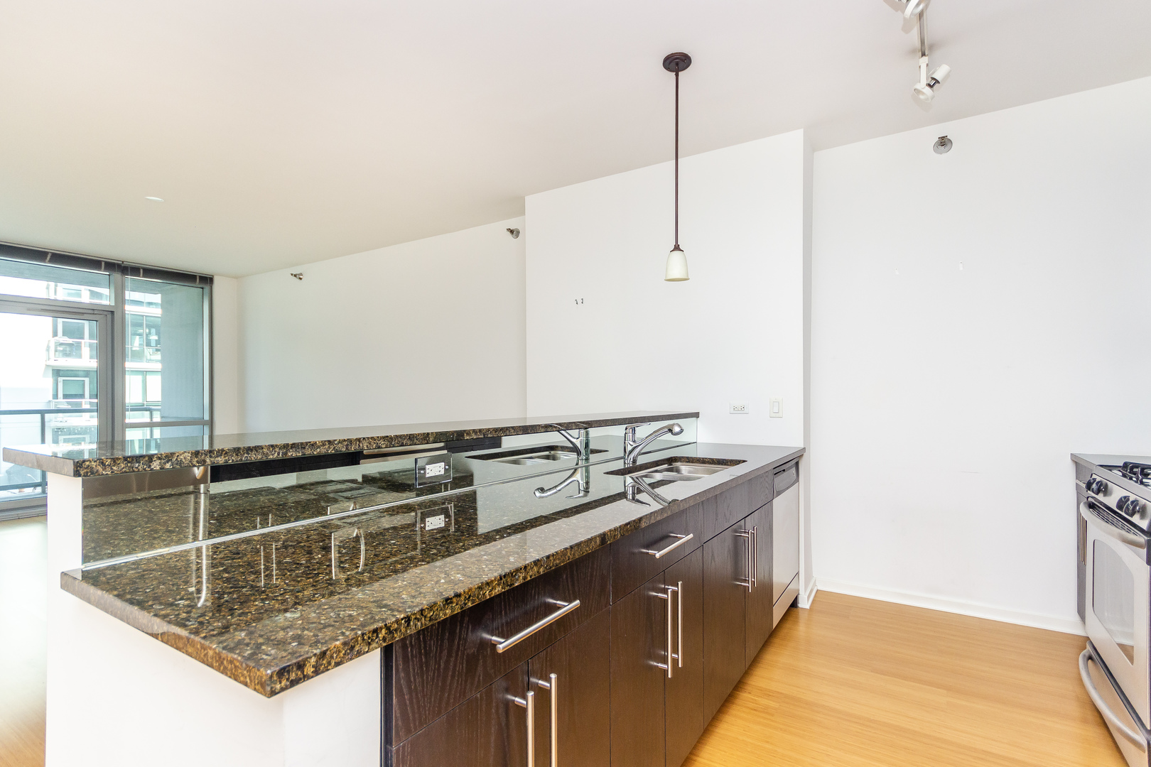125 South Green Street, Unit 402A Chicago, IL 60607 - Photo 6 of 22