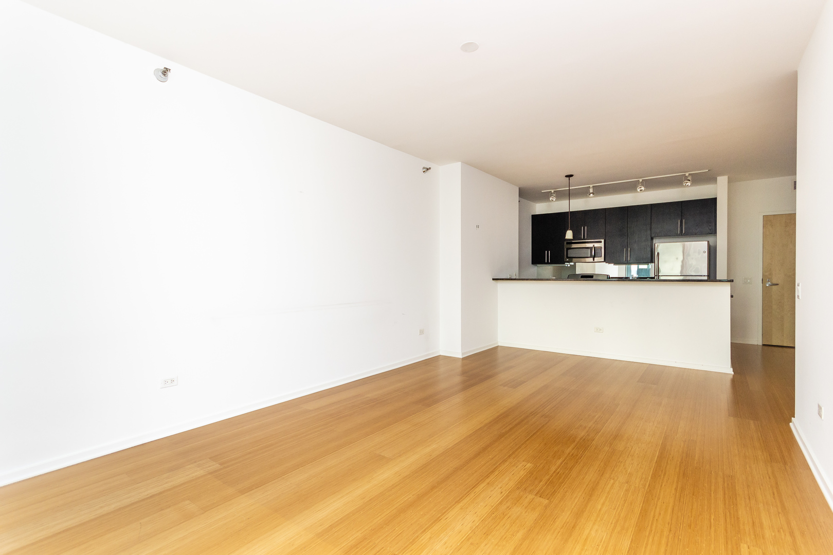 125 South Green Street, Unit 402A Chicago, IL 60607 - Photo 7 of 22