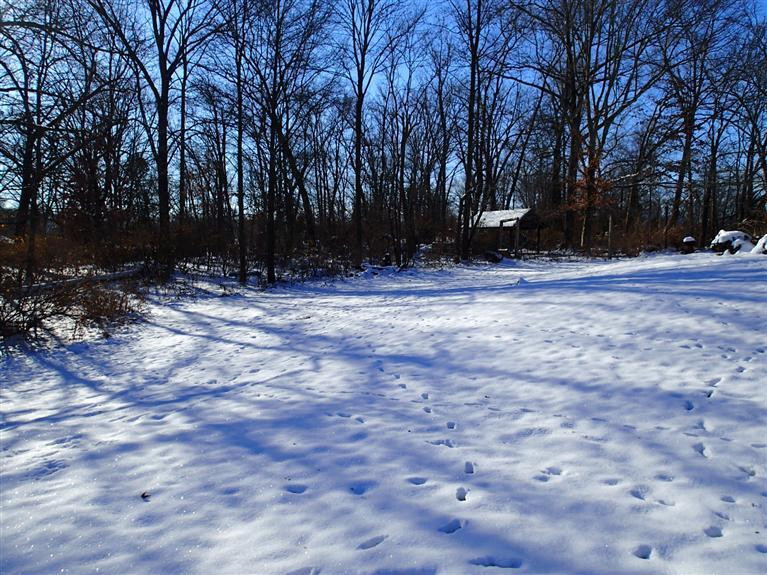 683 Maddox Road Alexandria, KY 41001 - Photo 10 of 15 Gallery Image 10