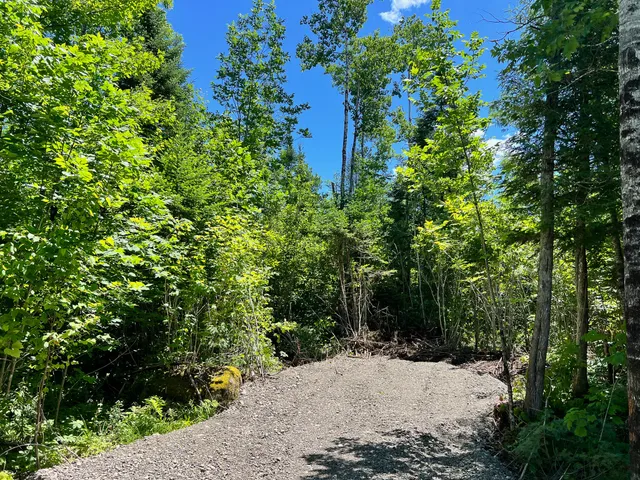 $20,000 | Lot 1 Woodland Ridge Road, Danforth, ME 04424