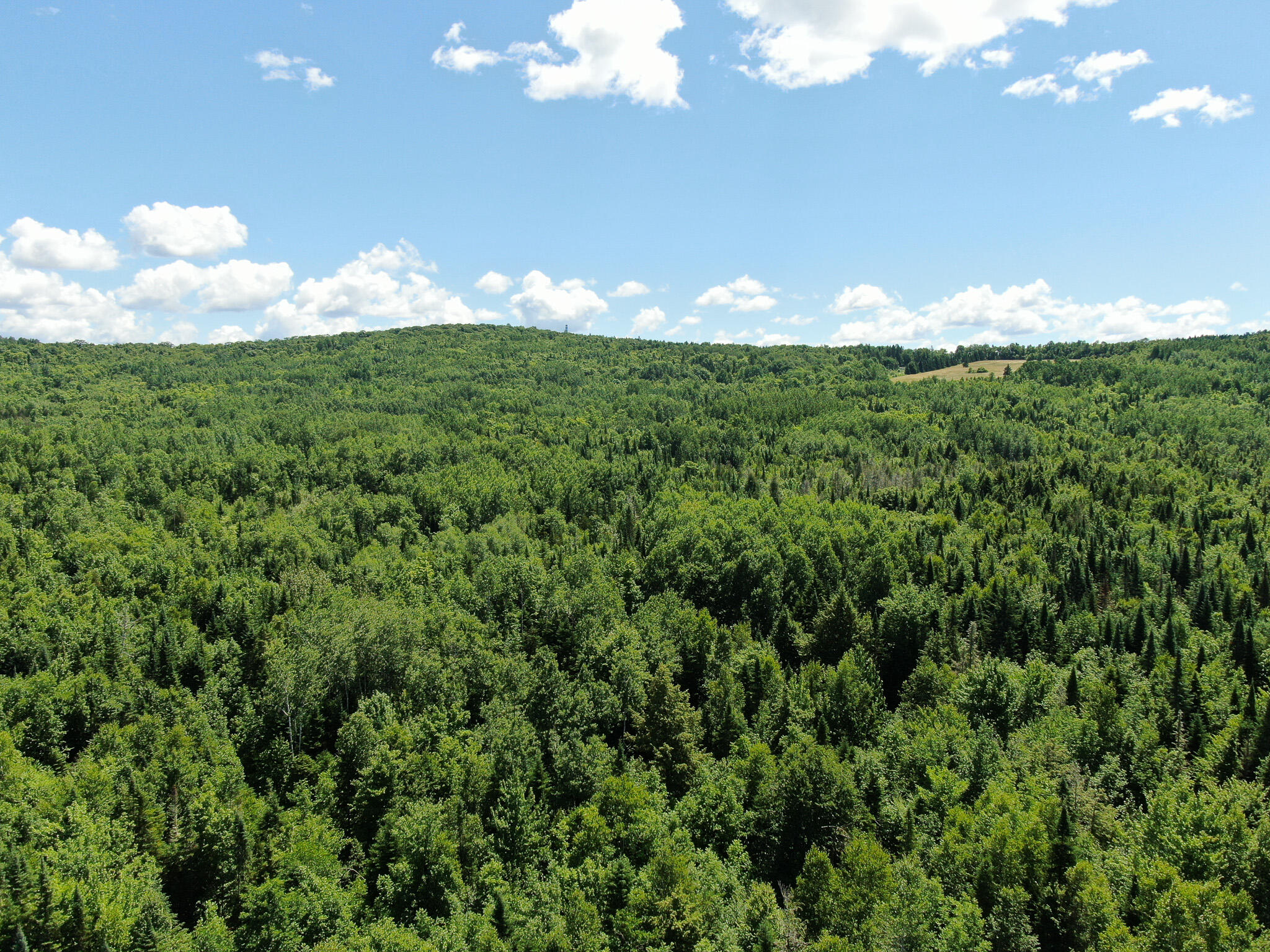 Lot 1 Woodland Ridge Road Danforth, ME 04424 - Photo 8 of 17 DJI_0863