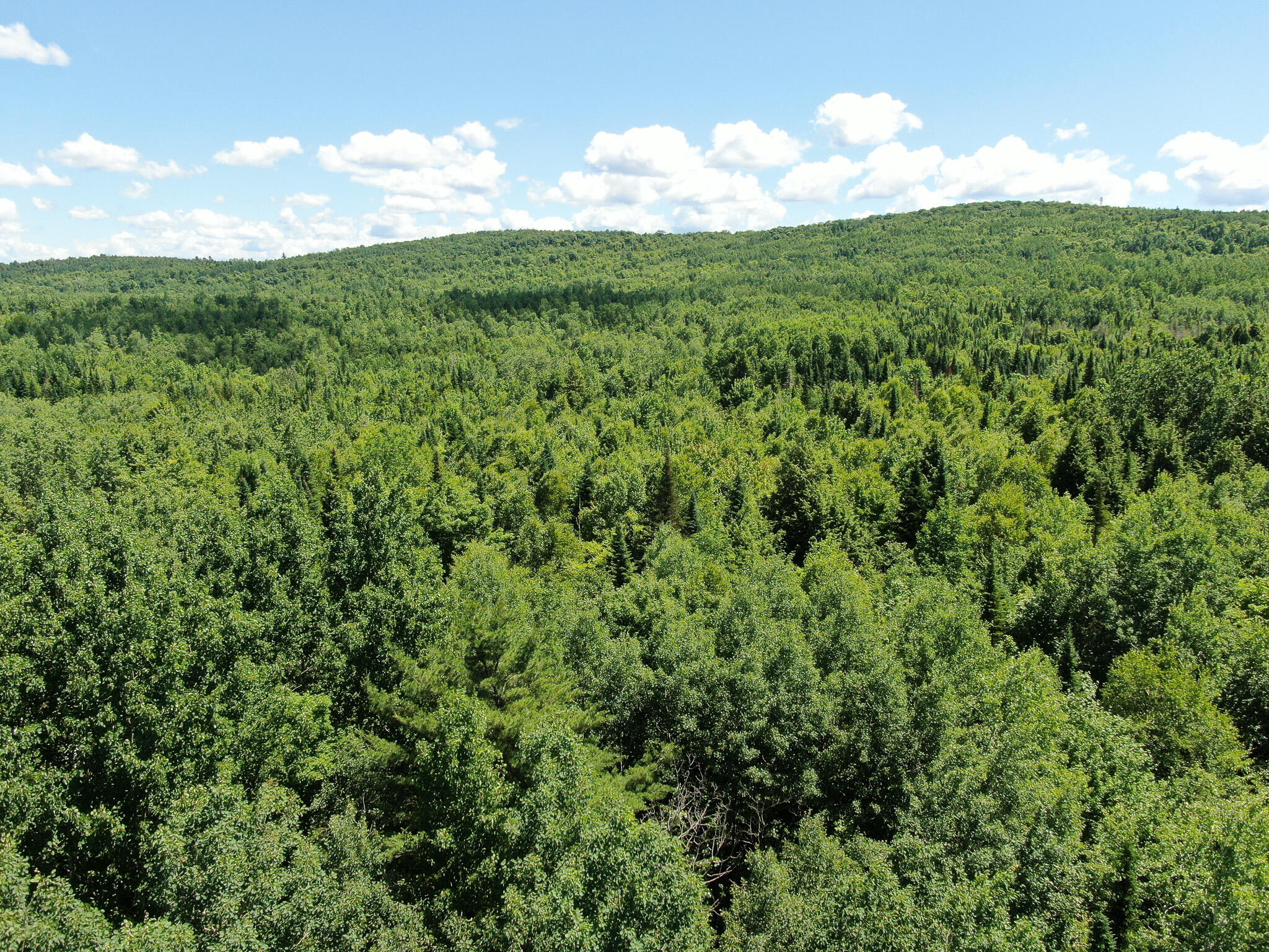 Lot 1 Woodland Ridge Road Danforth, ME 04424 - Photo 9 of 17 DJI_0865