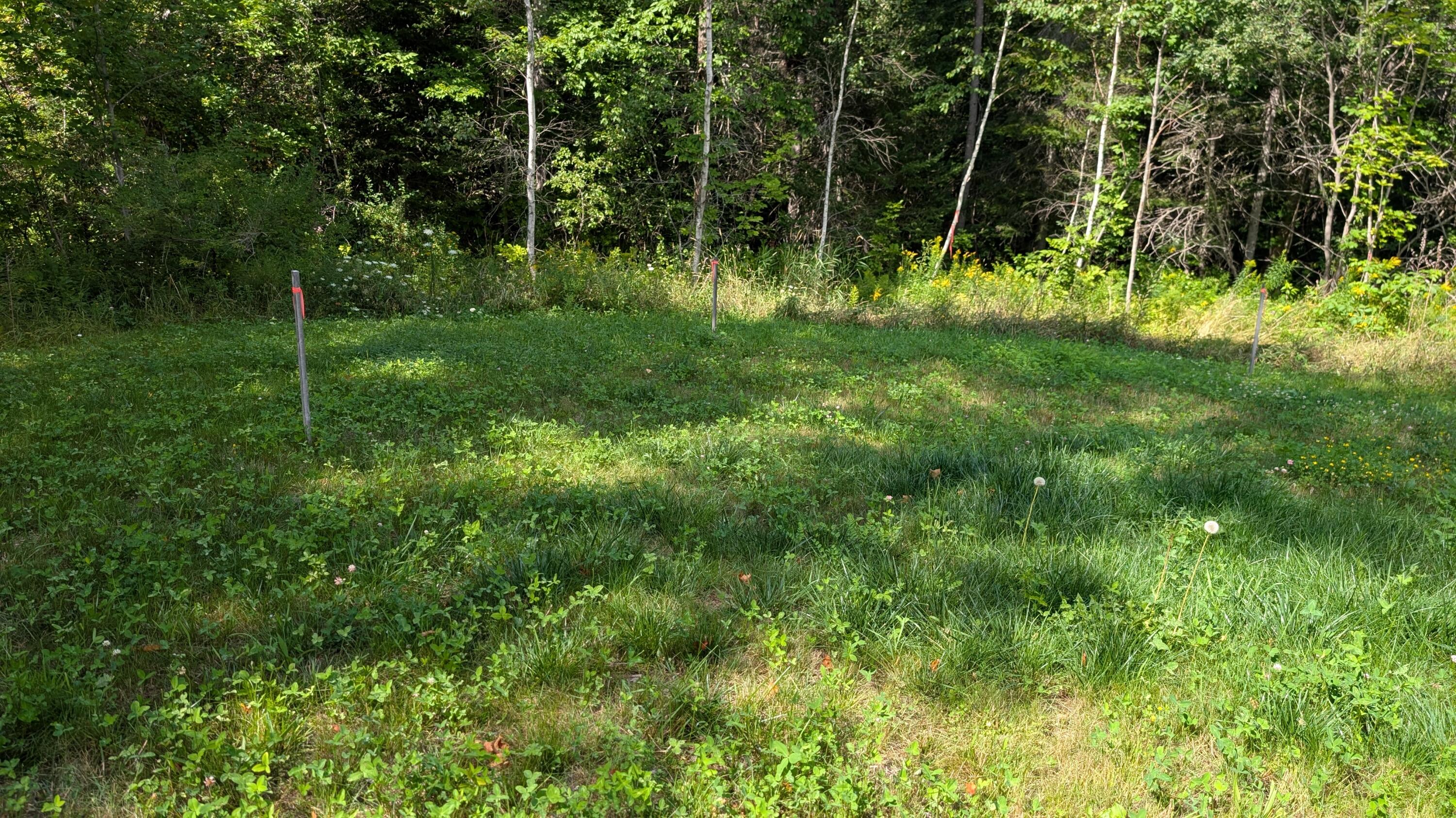 5 Timber Trail Springfield, ME 04487 - Photo 5 of 24 Back yard, leach field