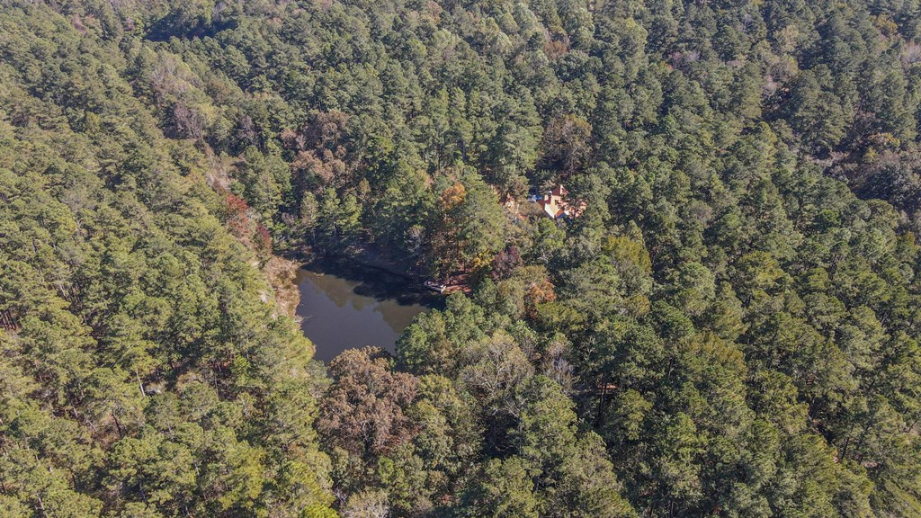 1109 Richardsons Lake Road Aiken, SC 29803 - Photo 64 of 66