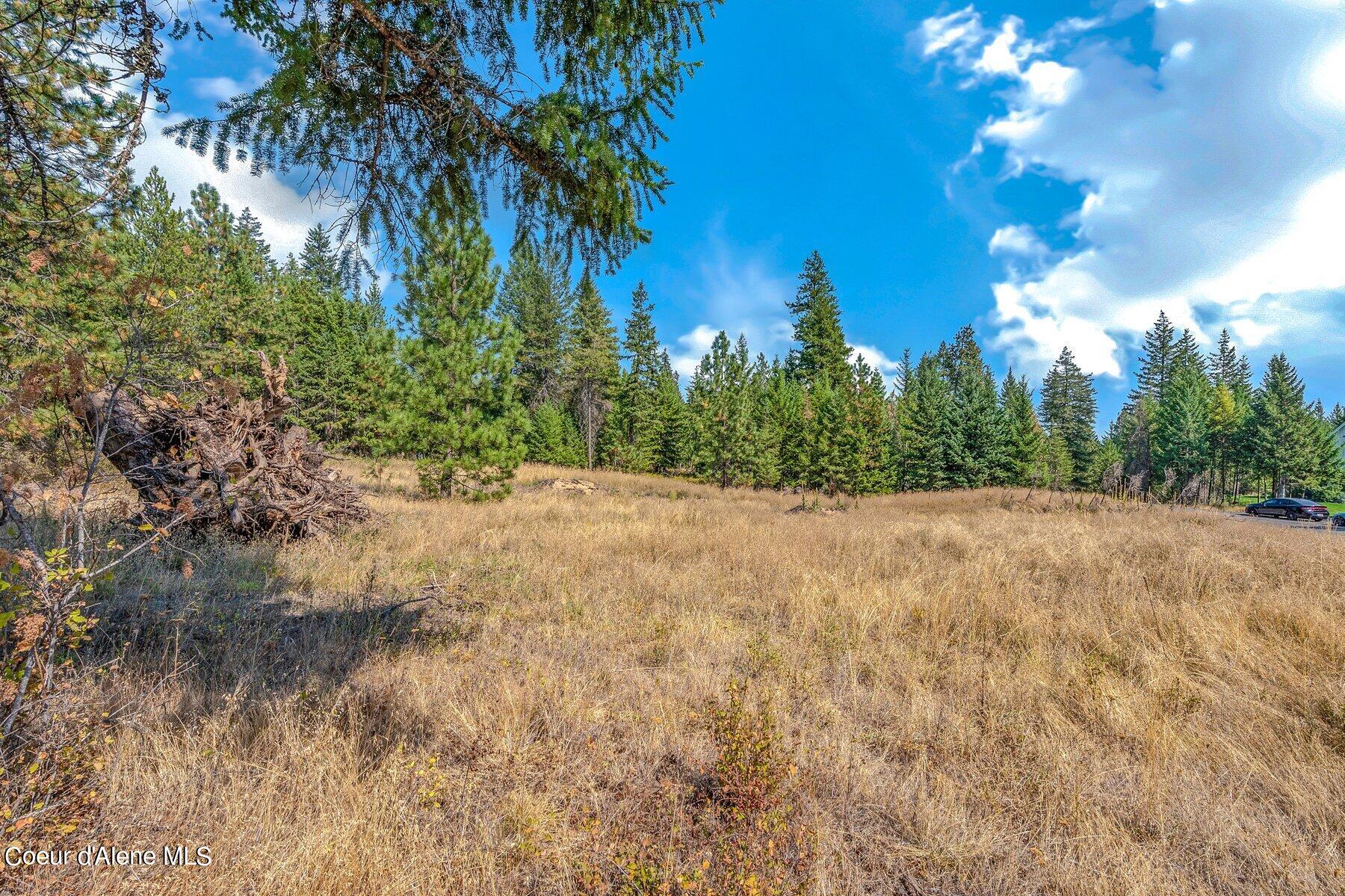 L6-b10 North Walden Loop Rathdrum, ID 83858 - Photo 17 of 29 --1.jpg-SMALL