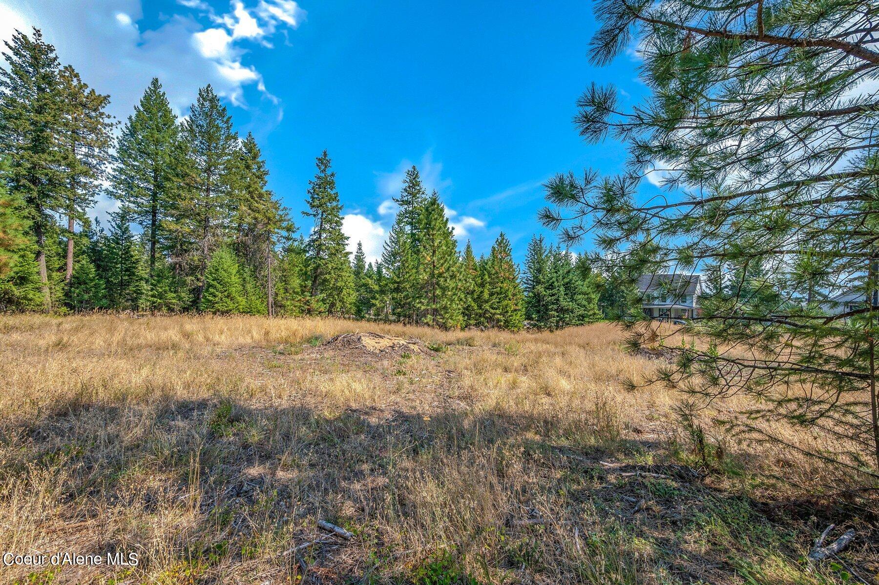 L6-b10 North Walden Loop Rathdrum, ID 83858 - Photo 19 of 29 --3.jpg-SMALL