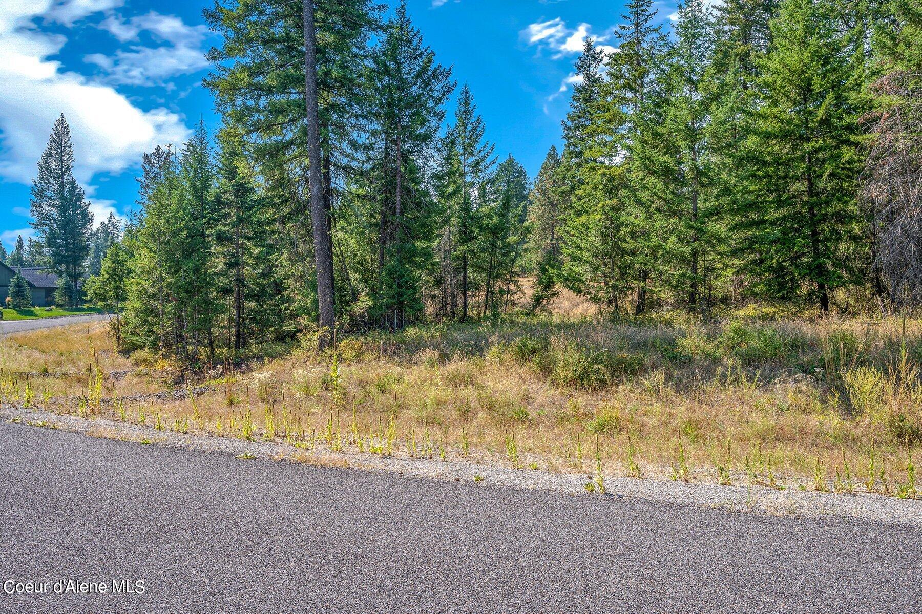 L6-b10 North Walden Loop Rathdrum, ID 83858 - Photo 22 of 29 Lot 6 Blk 10