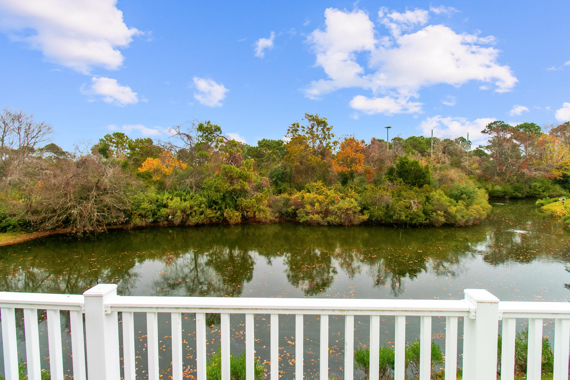 1502 Hopeman Lane Mount Pleasant, SC 29466 - Photo 16 of 49 back deck view