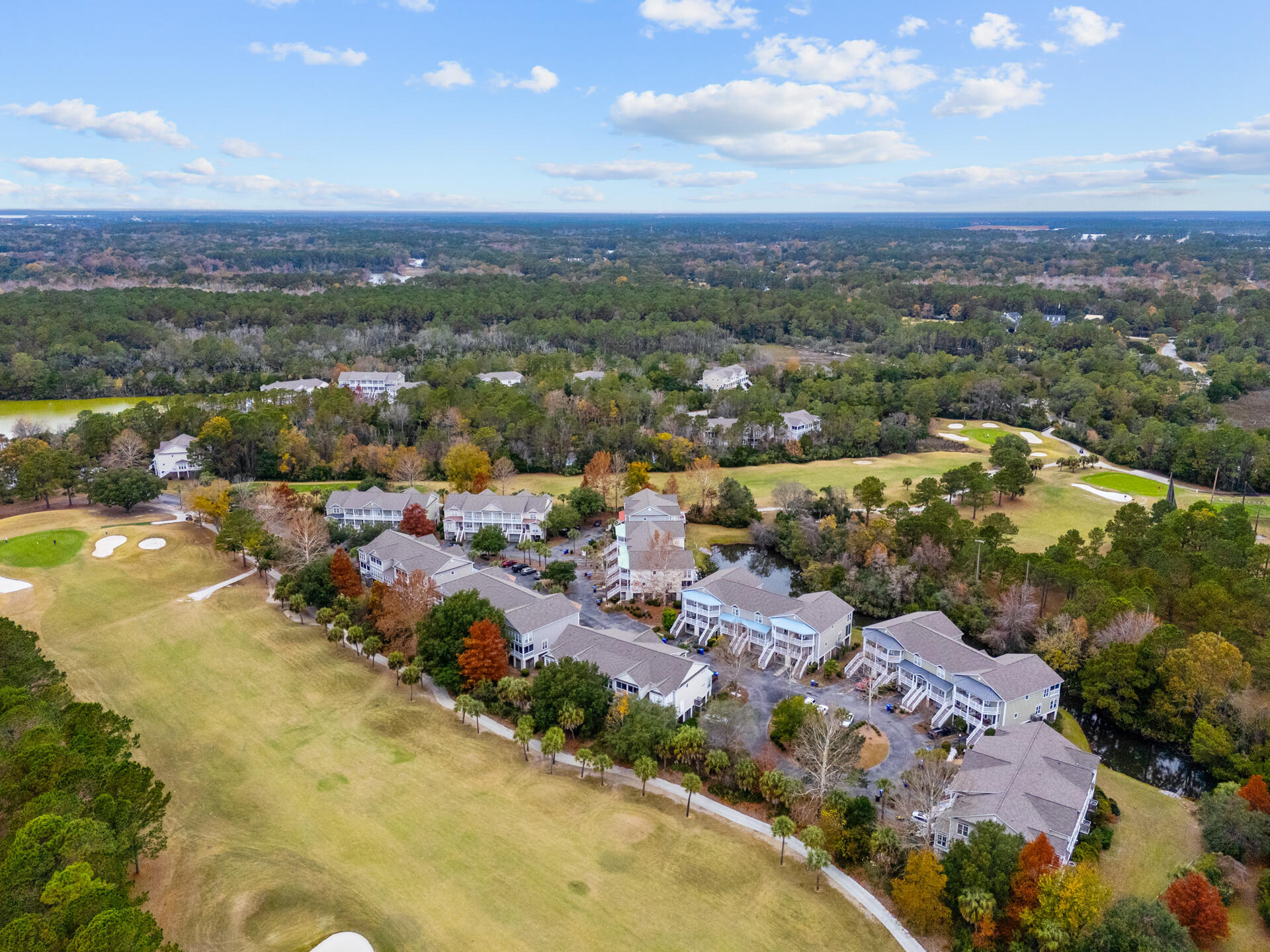 1502 Hopeman Lane Mount Pleasant, SC 29466 - Photo 45 of 49 aerial view