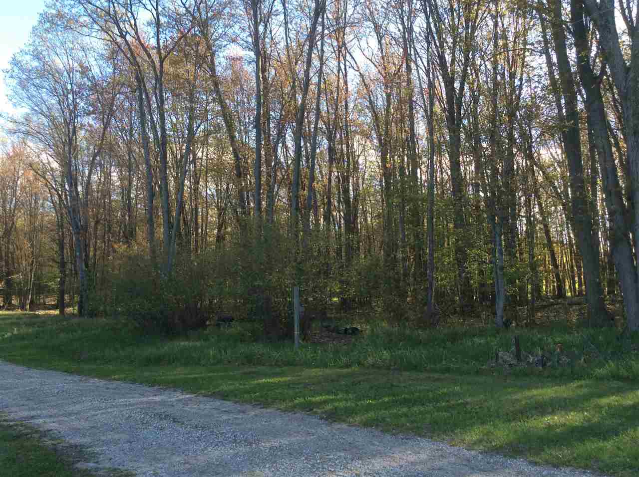 875 East Monroe Road Harrison, MI 48625 - Photo 57 of 67 1861396-56.JPG