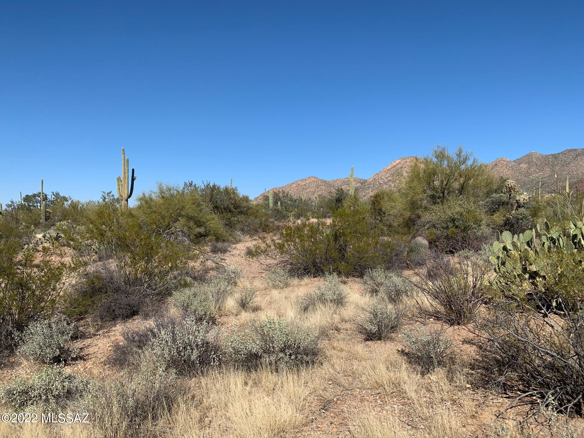 19-acres West Mile Wide Road, Unit B Tucson, AZ 85743 - Photo 17 of 19