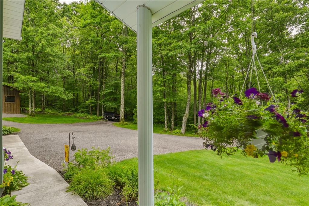1234 Old Mule Trail Road Garrett, PA 15542 - Photo 5 of 50