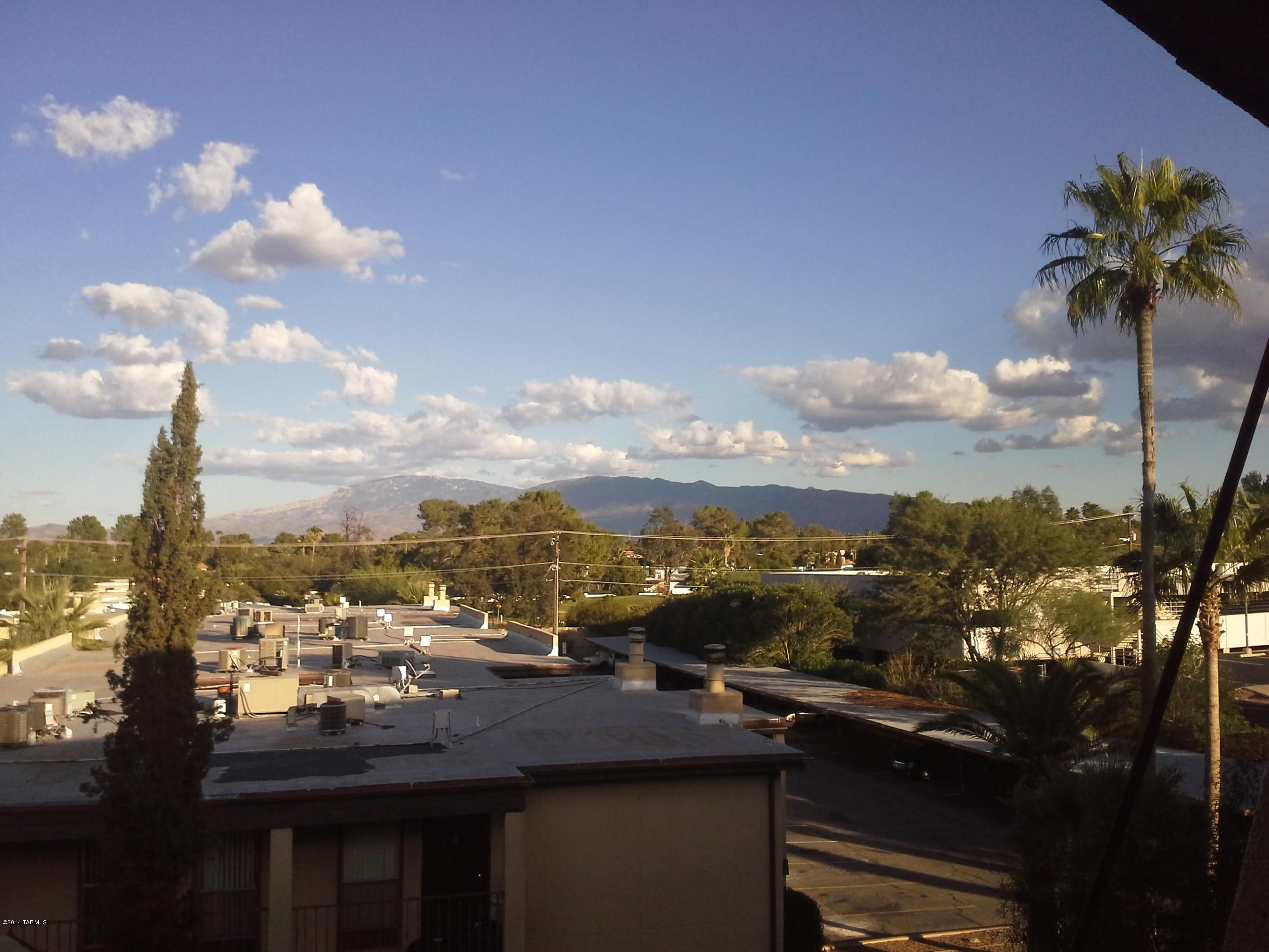 1620 North Wilmot Road, Unit B311 Tucson, AZ 85712 - Photo 15 of 16