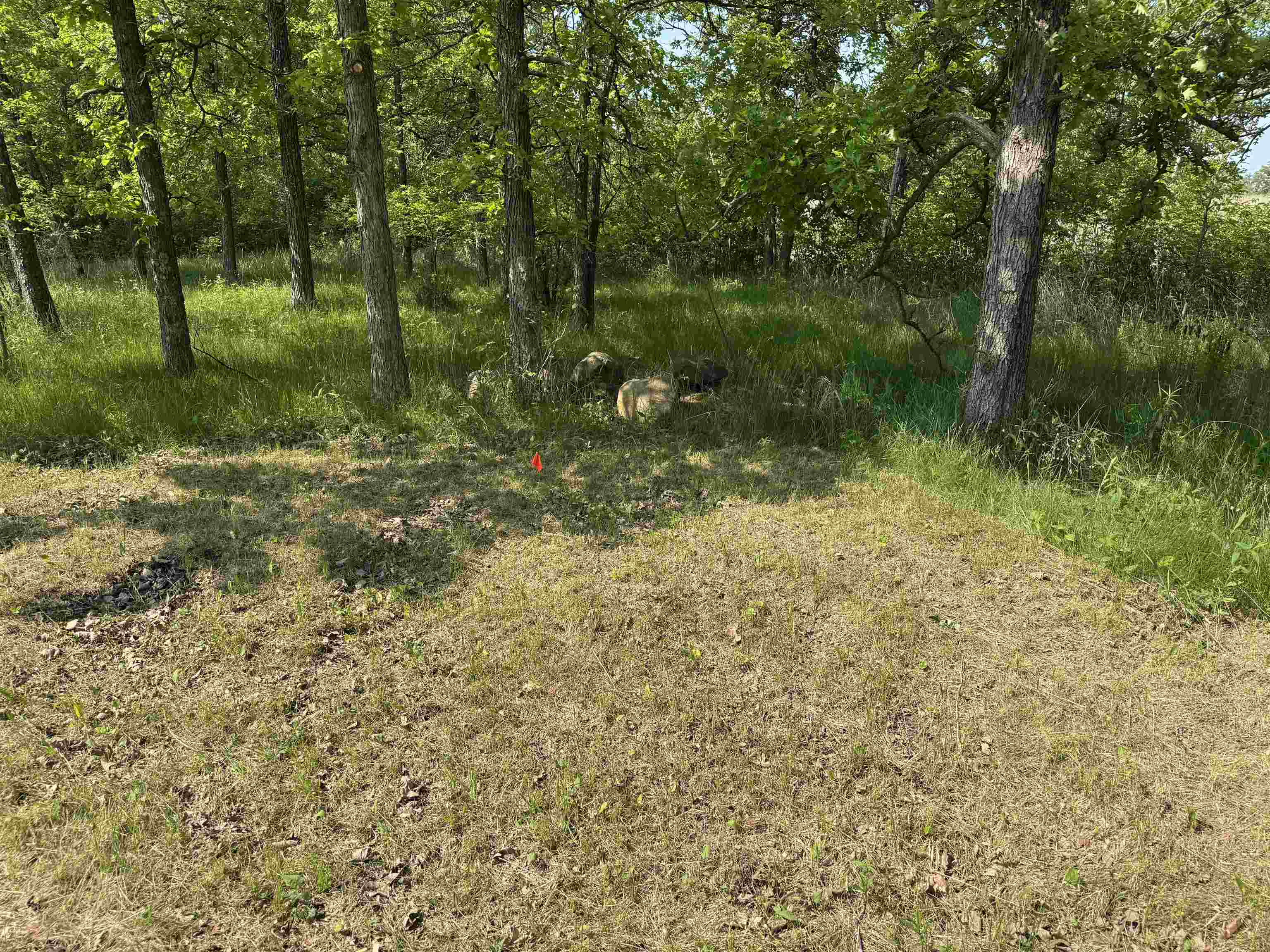 48784 Pansy Landing Road Sandstone, MN 55072 - Photo 26 of 43 Gallery Image 26