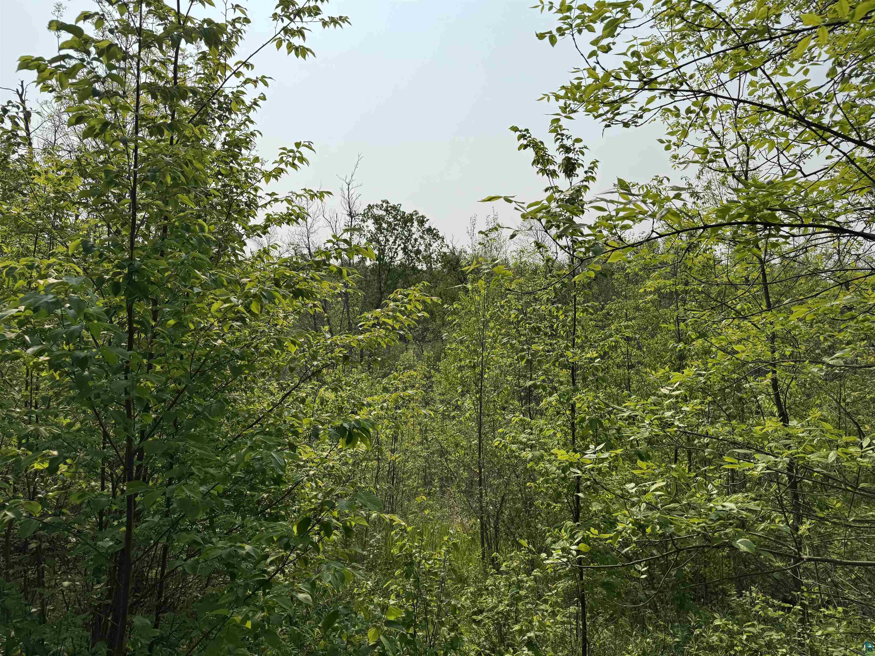 48784 Pansy Landing Road Sandstone, MN 55072 - Photo 28 of 43 Gallery Image 28