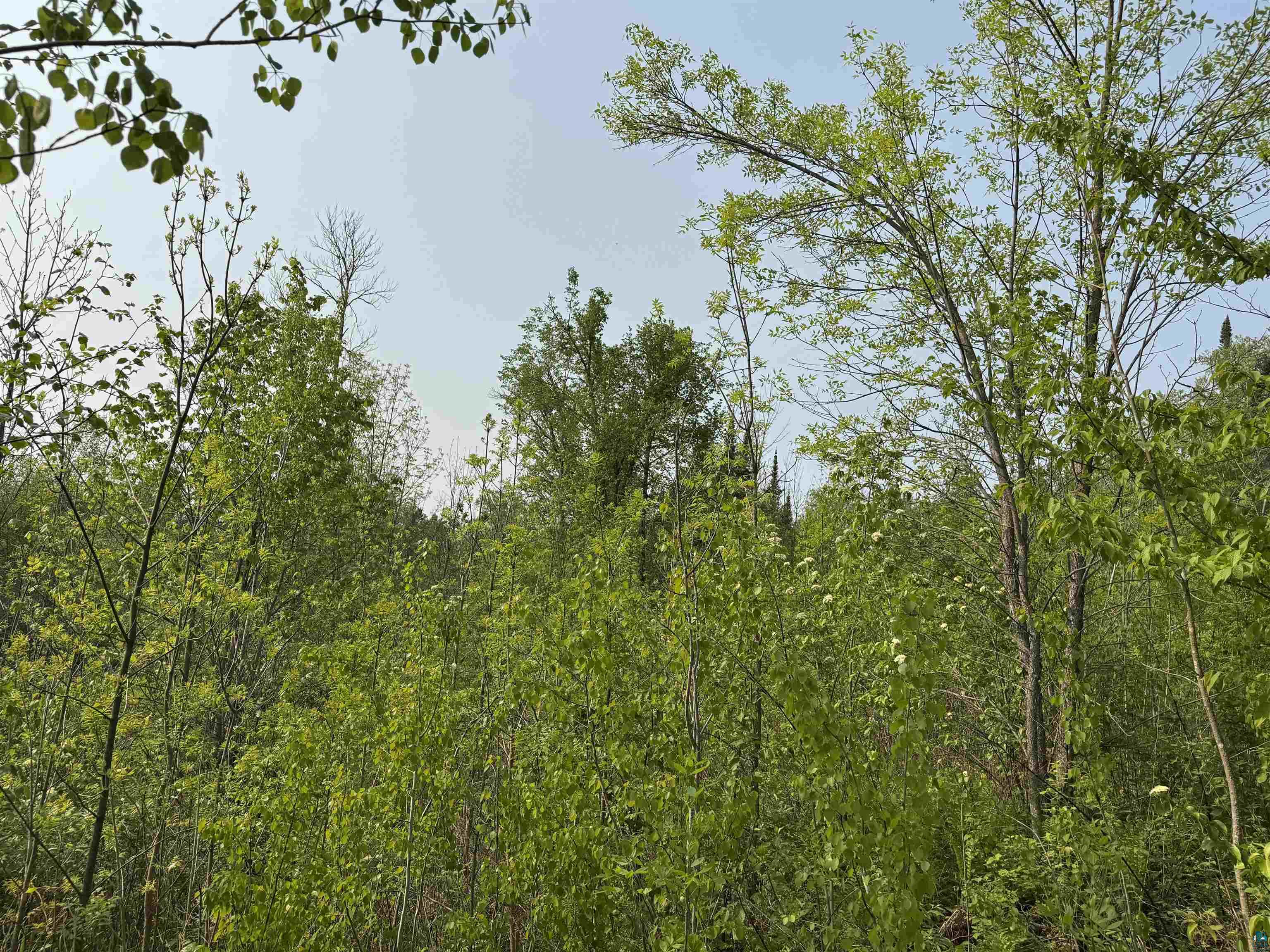 48784 Pansy Landing Road Sandstone, MN 55072 - Photo 29 of 43 Gallery Image 29