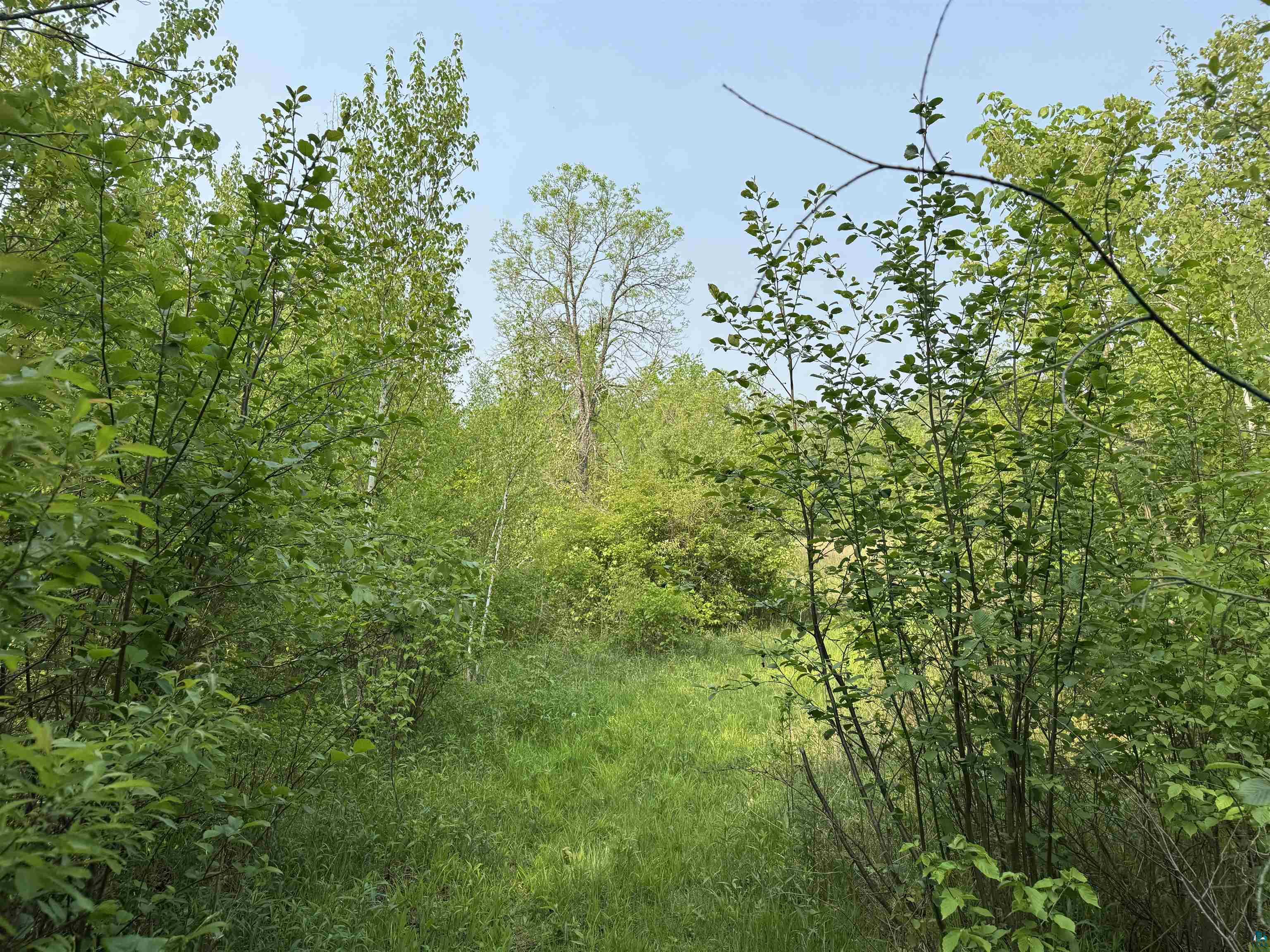 48784 Pansy Landing Road Sandstone, MN 55072 - Photo 30 of 43 Gallery Image 30
