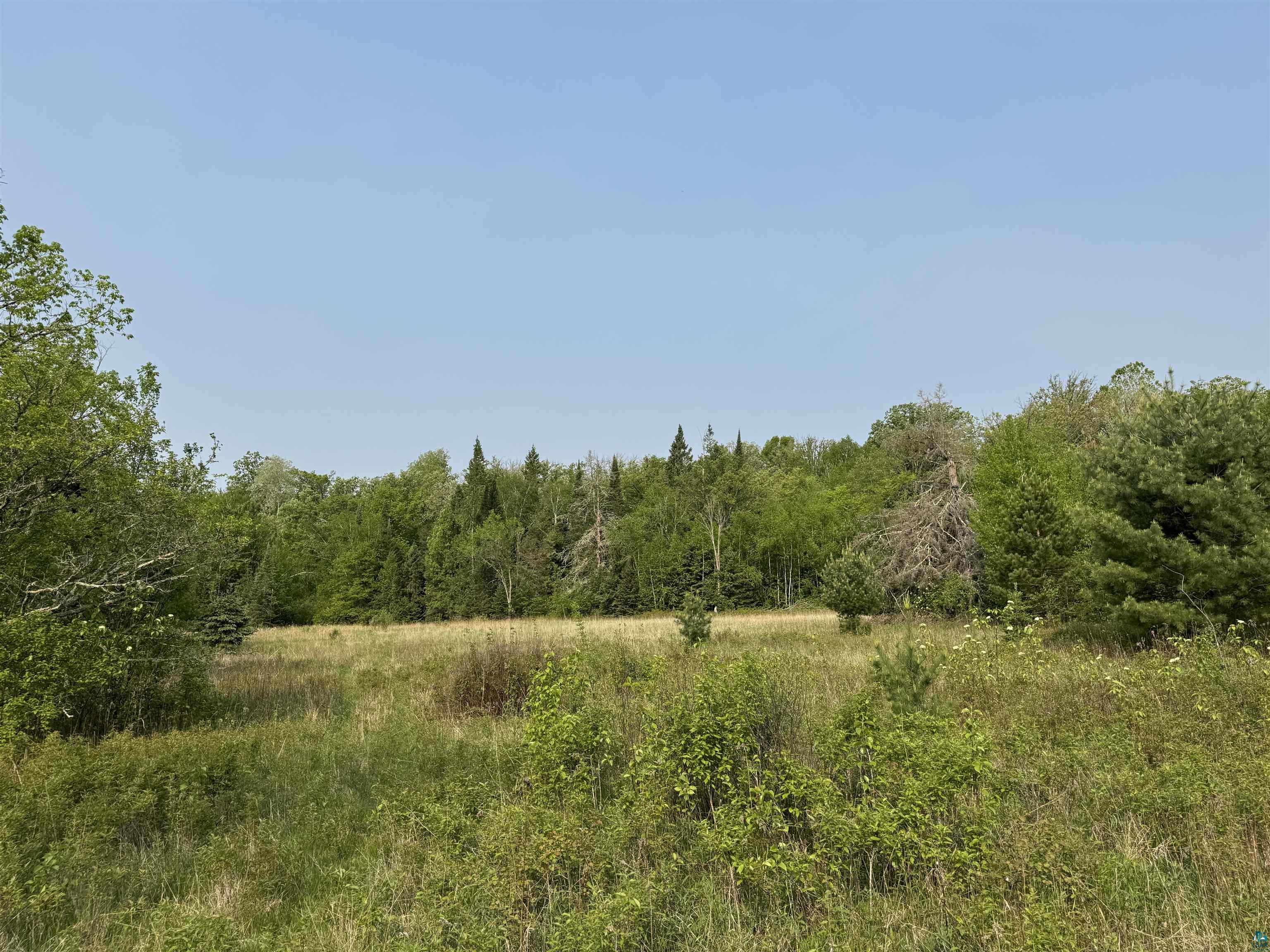48784 Pansy Landing Road Sandstone, MN 55072 - Photo 31 of 43 Gallery Image 31