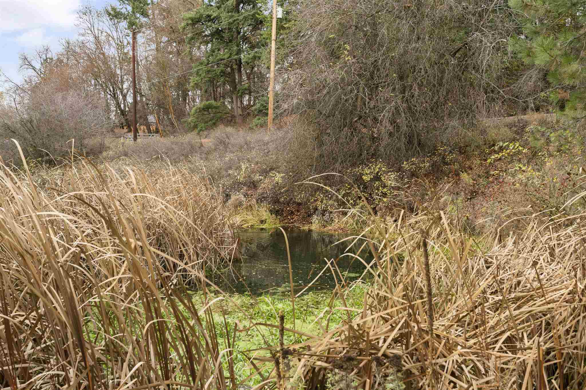 7523 North Palmer Road Spokane, WA 99217 - Photo 28 of 41