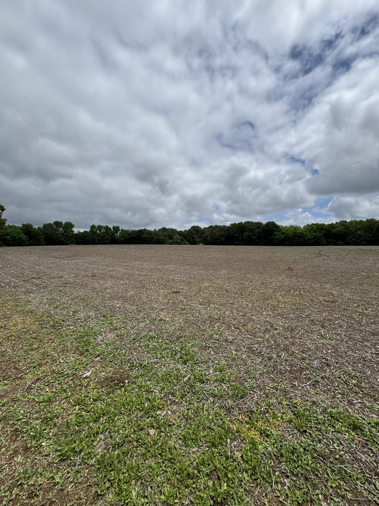 325 Harts Mill Road Atwood, TN 38220 - Photo 21 of 44
