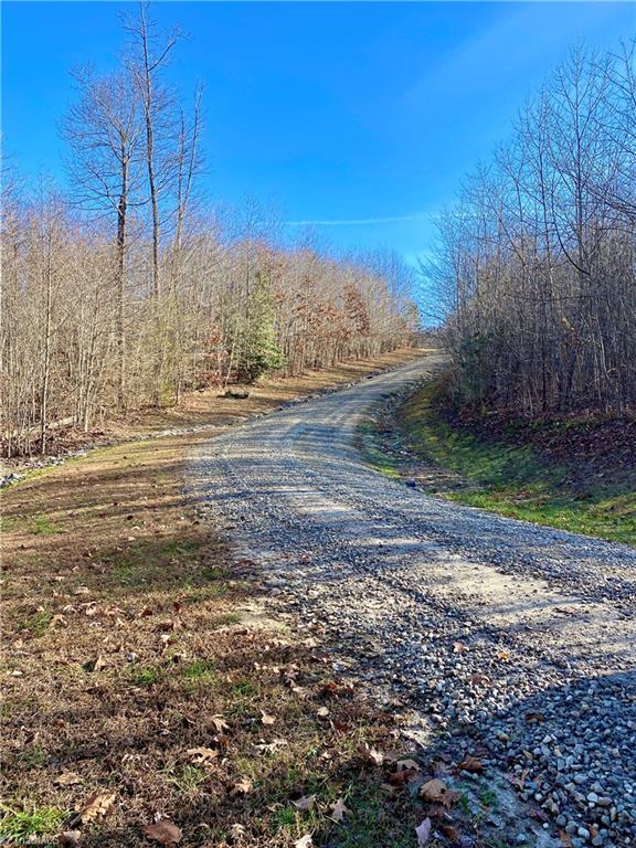 255 Oakley Ridge Road North Wilkesboro, NC 28659 - Photo 8 of 50 Gallery Image 8