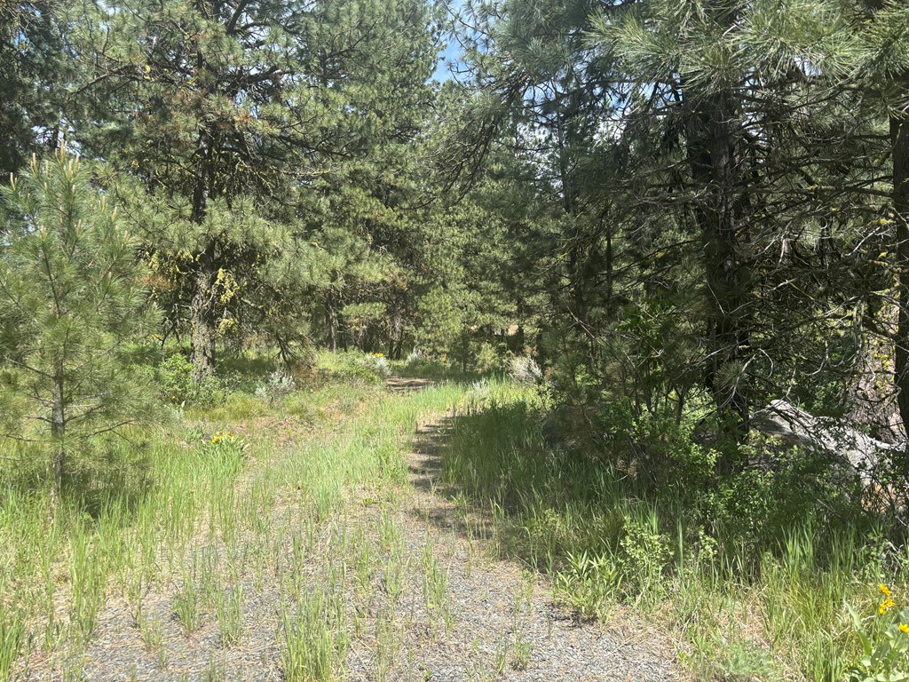 L16-b1 Lantern Way, Unit 16 Cascade, ID 83611 - Photo 7 of 39 Rouged in driveway