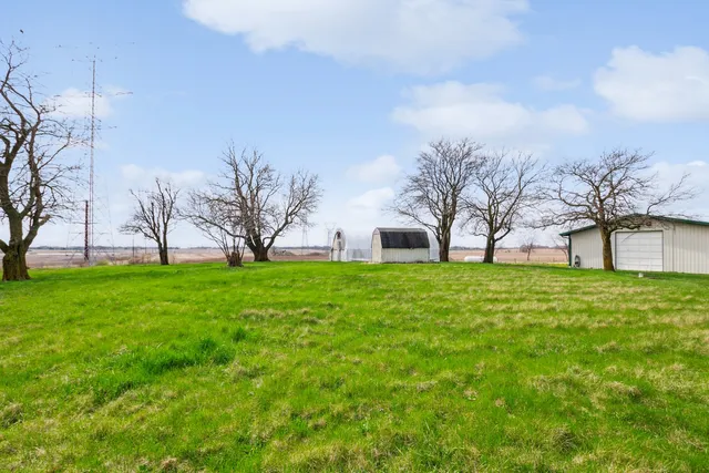 a view of a big yard with palm trees