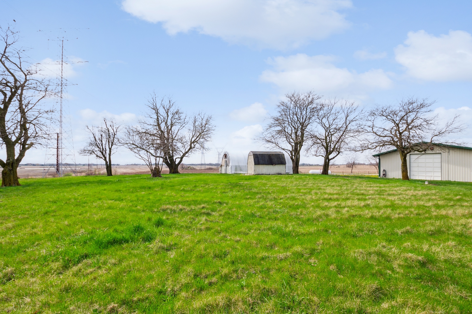 9815 West Laraway Road Frankfort, IL 60423 - Photo 5 of 14 a view of a big yard with palm trees