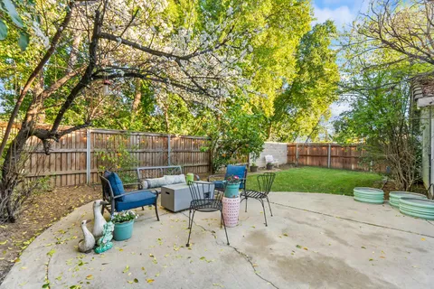 a view of a backyard with chairs potted plants and a large tree
