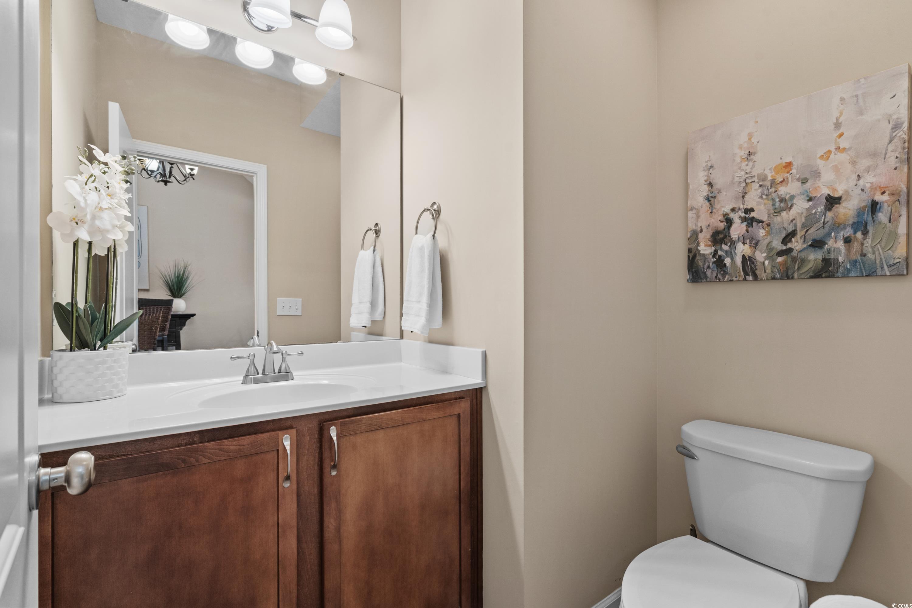 822 Foxtail Drive, Unit 822 Longs, SC 29568 - Photo 29 of 39