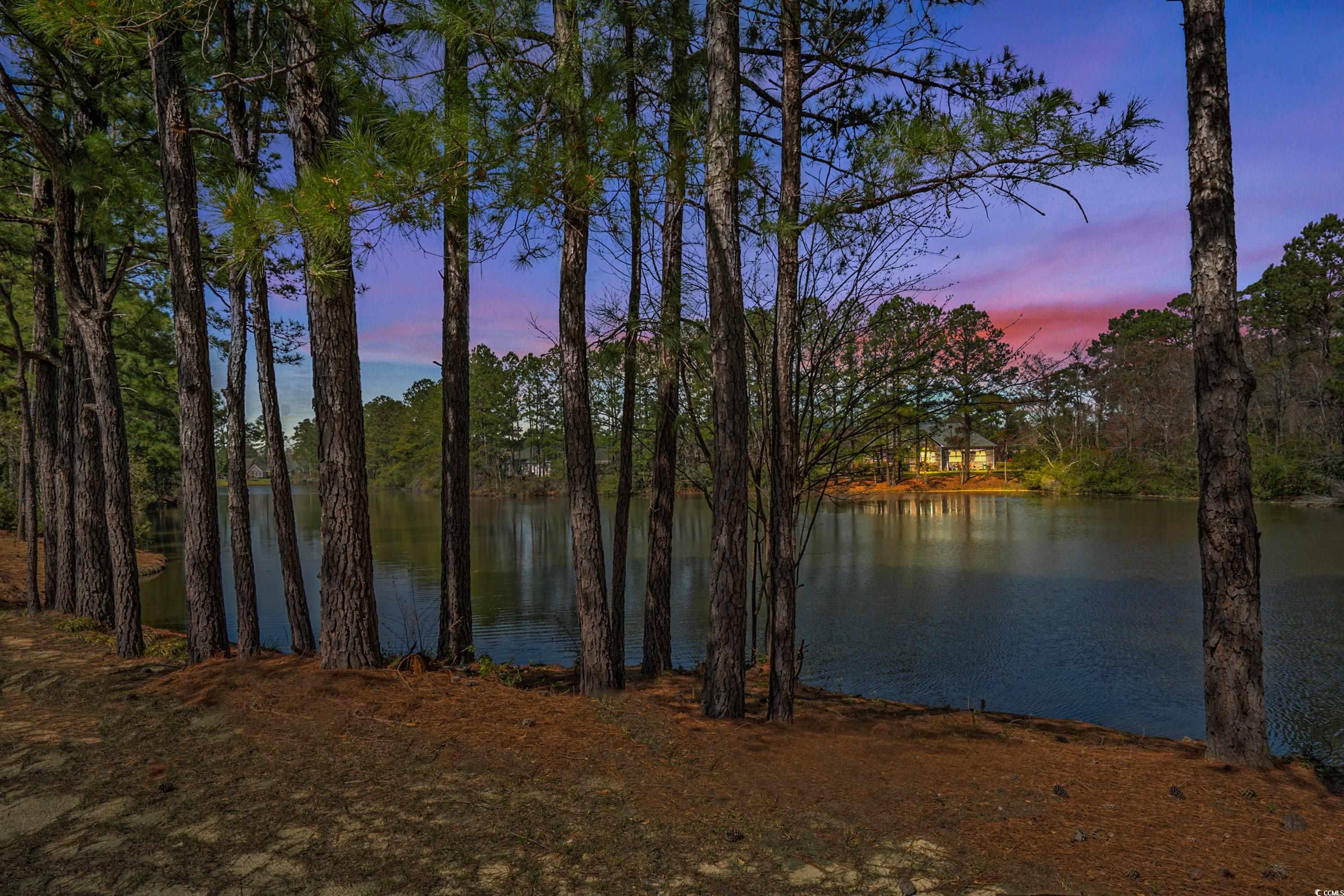 822 Foxtail Drive, Unit 822 Longs, SC 29568 - Photo 33 of 39