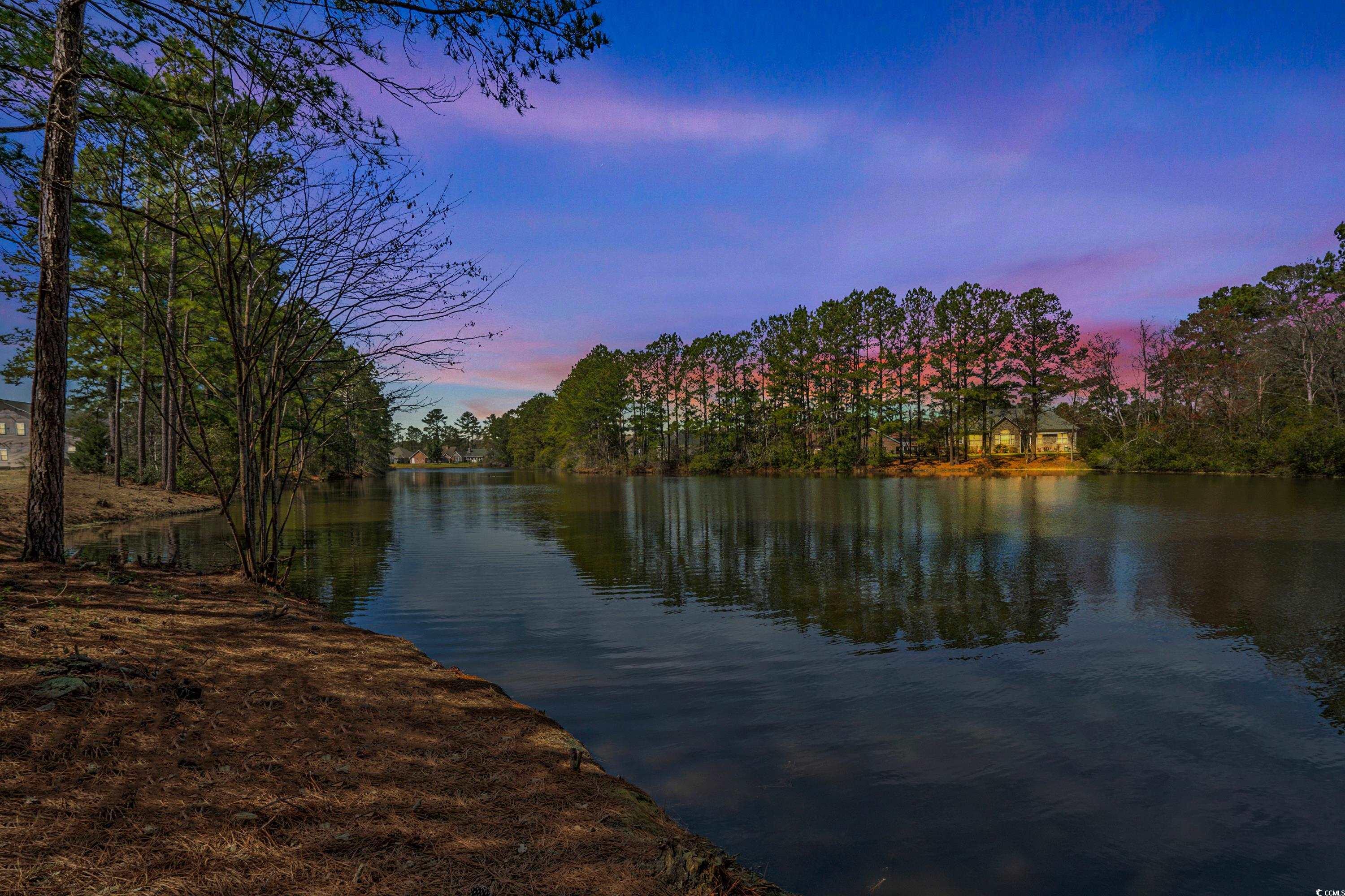 822 Foxtail Drive, Unit 822 Longs, SC 29568 - Photo 34 of 39