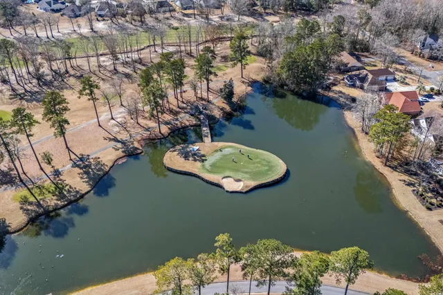 $347,900 | 822 Foxtail Drive, Unit 822, Longs, SC 29568