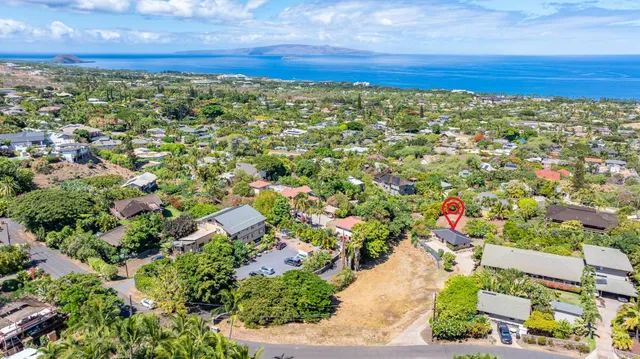 an aerial view of a house with a yard and a large tree