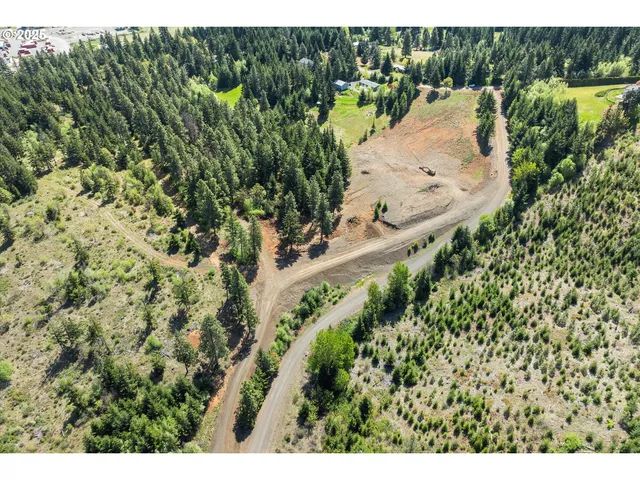 a view of a yard in a garden