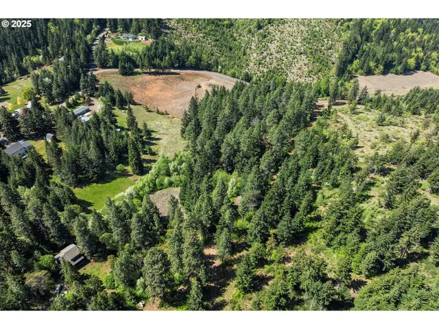 a view of a garden with a outdoor space
