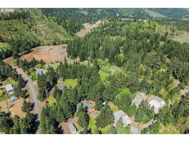 a view of a lot of trees and grass