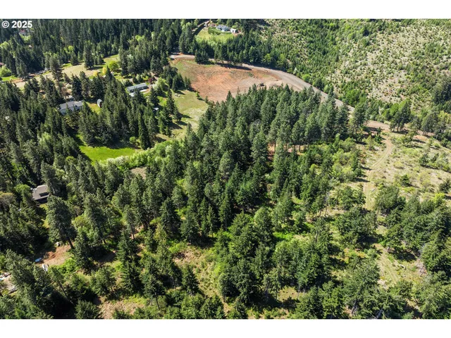 a view of a back yard