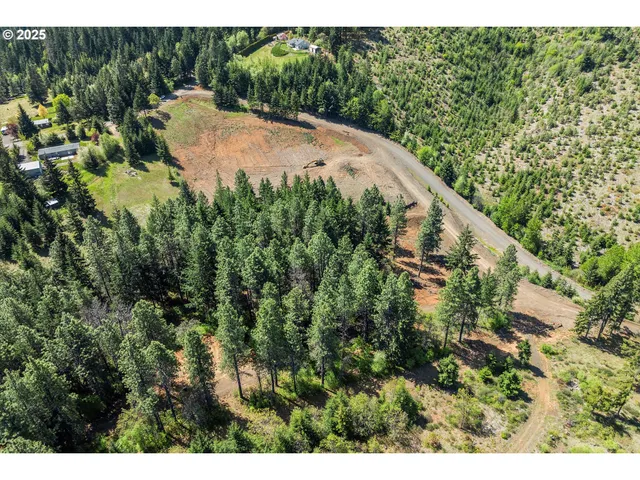 a view of a garden with a pathway