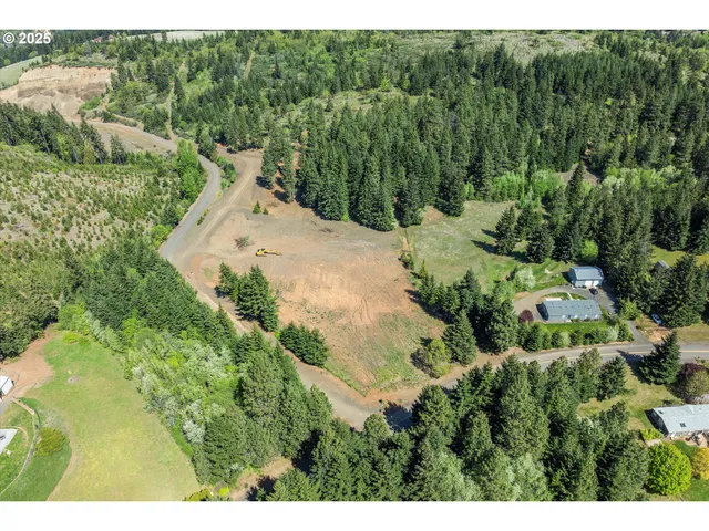 a view of a forest with a street
