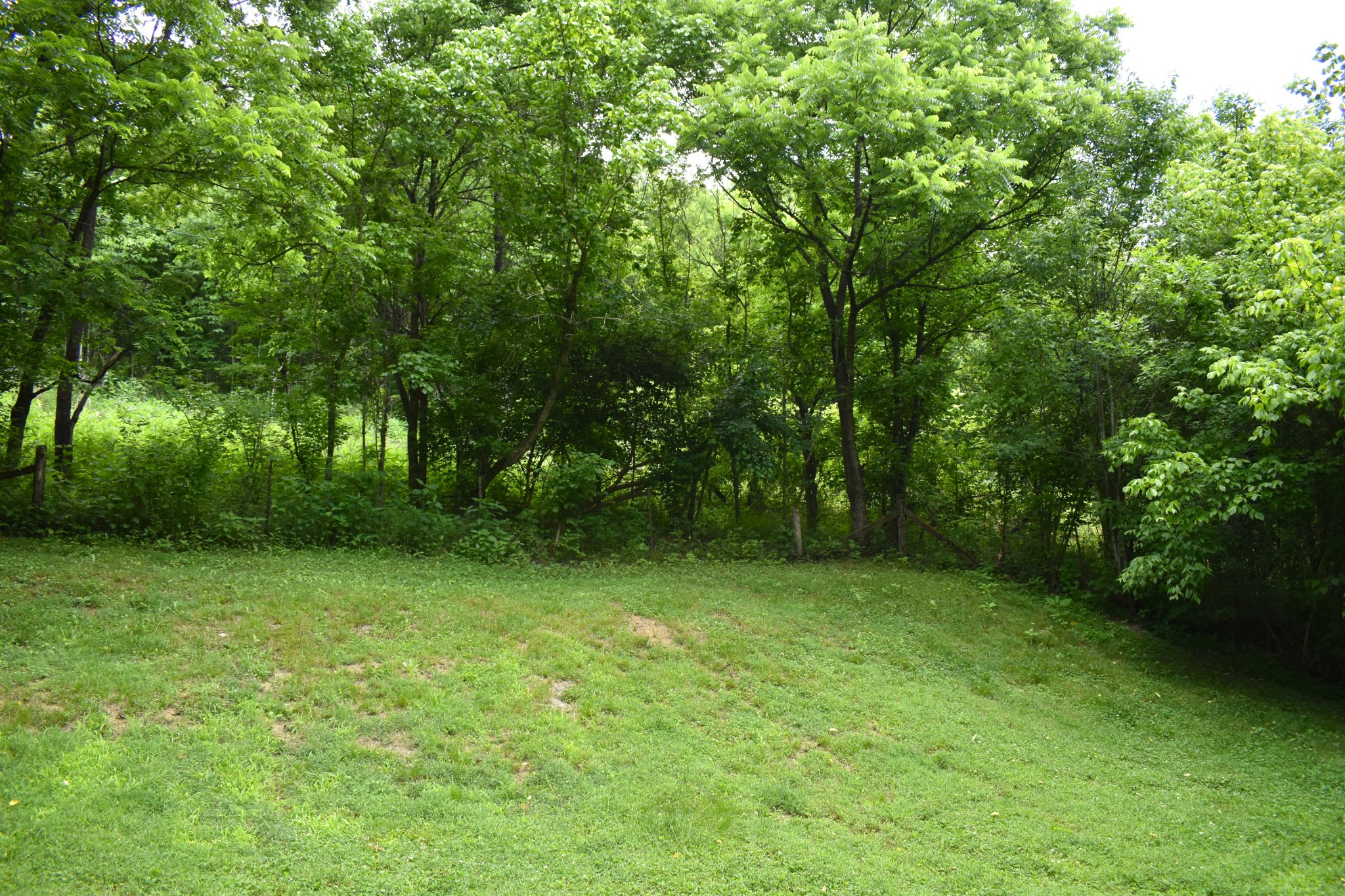86 Dog Branch Road Pleasant Shade, TN 37145 - Photo 7 of 24